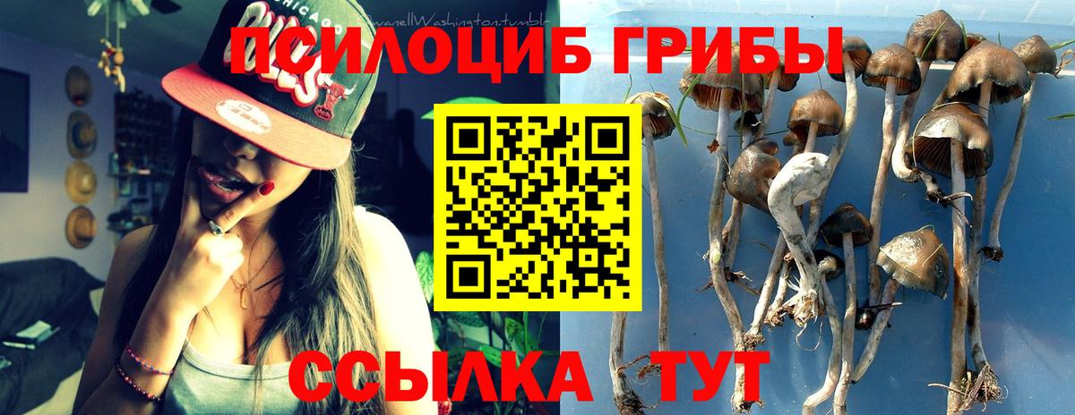 Псилоцибиновые грибы GOLDEN TEACHER  Вход с VPN  Кашира 