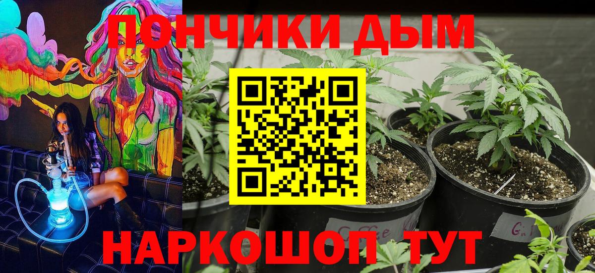 Каннабис семена Кашира